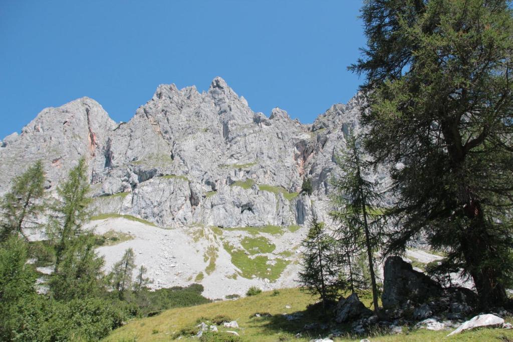 Schattaugut Eben Im Pongau Luaran gambar